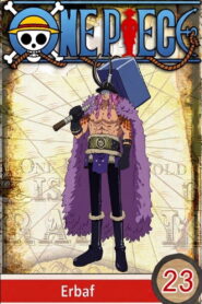 One Piece S23